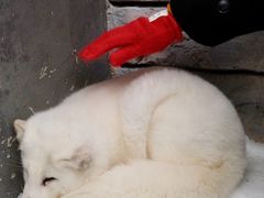 -湘江欢乐城欢乐雪域