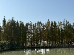 -乌村
