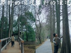 -东湖落雁景区