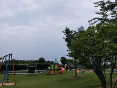 -明珠湖天鹅苑·农家菜馆