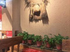 -柿子树炭烤羊腿(金台路店)