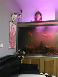 -雕哥的纹身店A3 TATTOO&纹身培训