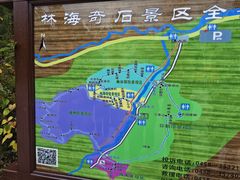 -汤旺河林海奇石景区