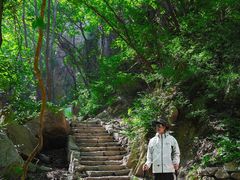 -大岭沟猕猴桃谷风景区