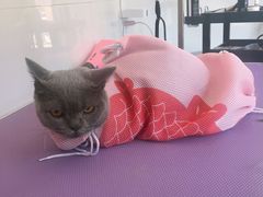 -宠颐生动物医院·心脏科·保险定点(锦阳分院)