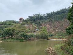 -水濂山森林公园