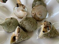 -哈味食店(外伶仃岛店)