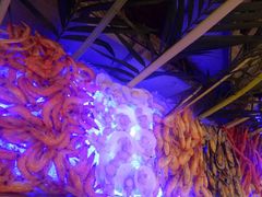 -元一希尔顿酒店·禅自助餐厅·啤酒花园