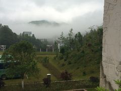 -全国青少年井冈山革命传统教育基地