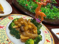 葱烧鹿蹄筋-鹿鸣春饭店(总店)