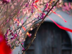 -雨花胜境