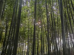 -泰山风景名胜区-普照寺