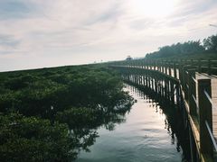 -北海金海湾红树林生态旅游区