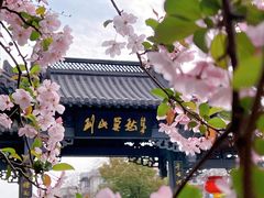 -莫愁湖公园