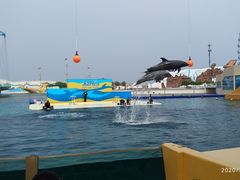 -秦皇岛乐岛海洋王国