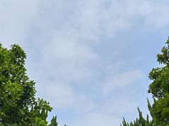 -秋霞圃