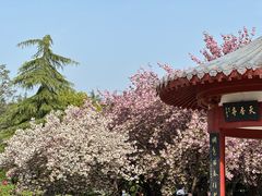 -洛阳市隋唐城遗址植物园