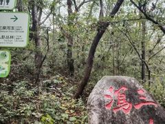 -玉渡山自然风景区