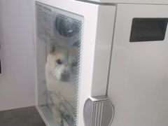 -瑞鹏宠物医院·爱宠堂·骨外专科(西荷分院)