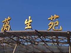 -北京植物园-展览温室