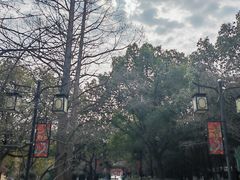 -白马涧龙池景区