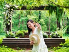 -黄海国家森林公园