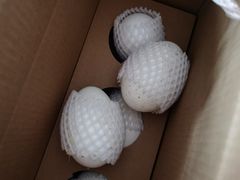 -单家老院·院子里的青岛菜(沙子口店)