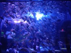 -成都浩海立方海洋公园