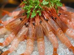 -Osteria Garden 生蚝花园餐厅(原进贤路店)