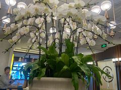 -鹿港小镇(霄云店)