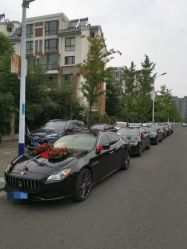 -蚂蚁婚车
