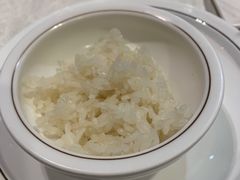 -丁老爷子苏香圆