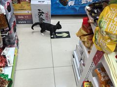 -Wagas沃歌斯(富力广场店)