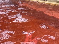 -春晖园度假酒店温泉