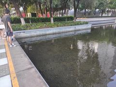 -佛山京华广场MALL