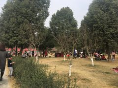 -秀丽东方