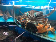 -望海潮海鲜店 特色家常菜(在海一方店)