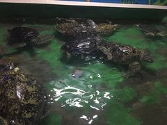 -常州海昌海洋探索馆