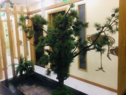 -芳朵美容养生SPA