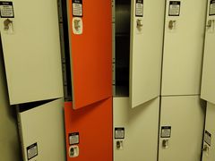 -阳光游泳培训(北苑店)