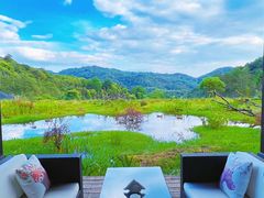 -普洱太阳河森林公园