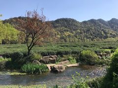 -中国茶叶博物馆(双峰馆区)