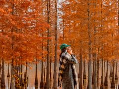 -白鹭湾湿地公园