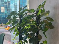 -Wagas沃歌斯(环贸店)