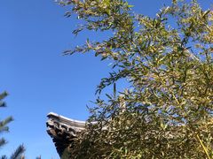 -三里河公园