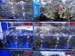 -石锅苗苗鱼(武汉首店)