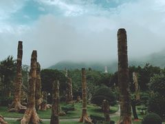 -深圳仙湖植物园