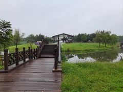 -南湖湿地公园