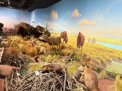 -陕西自然博物馆