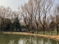 -洛阳市隋唐城遗址植物园